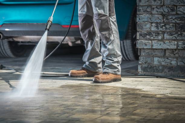 Best Soft Washing  in Larksville, PA